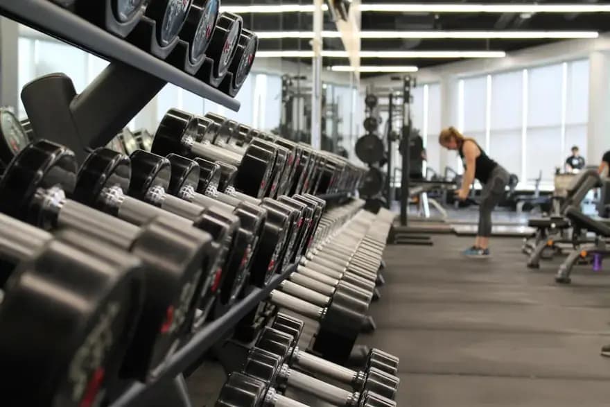 Fitnessstudios & Gyms — Website & Mitglieder-Portal für Ihr Studio — von Probetraining bis Vertrag